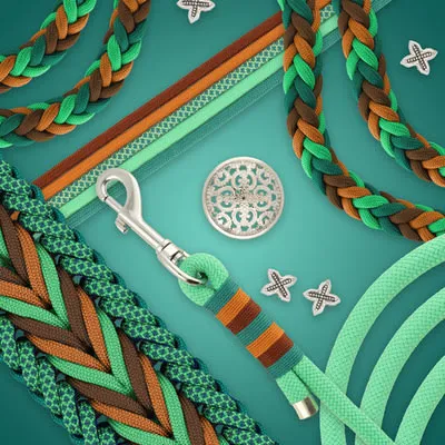 Lijn en halsband in groen en bruin