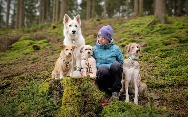 Louise de Bruyne en haar vier honden in een bos