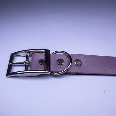 biothane hondenhalsband